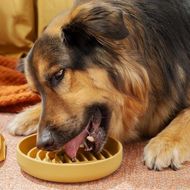 Slow Feeder Dog Bowl: The Slowdown Bowl is A Modern, Silicone Puzzle Bowl & Lick Mat