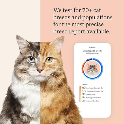 Wisdom Panel Complete: Comprehensive Cat DNA Test kit for 45 Health Genetic Health Conditions, 70+ Breeds and populations, 25+ Traits, Blood Type - Pack of 1