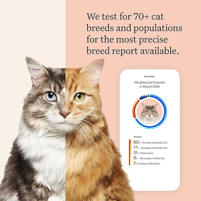 Wisdom Panel Complete: Comprehensive Cat DNA Test kit for 45 Health Genetic Health Conditions, 70+ Breeds and populations, 25+ Traits, Blood Type - Pack of 1