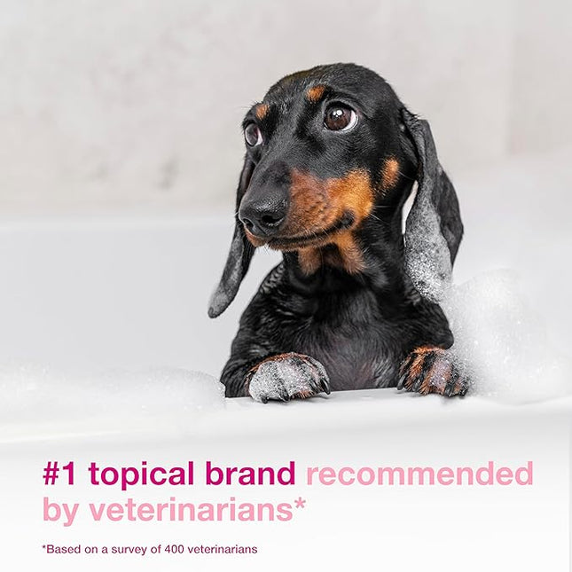 Douxo S3 Calm Shampoo 6.7 oz (200 mL) - for Dogs and Cats with Allergic, Itchy Skin