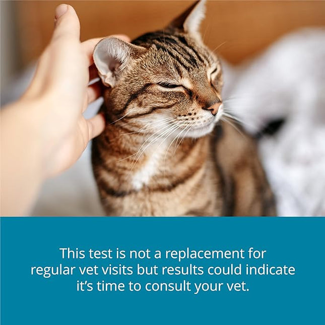 Petivity At-Home Kidney Health Test Kit for Cats, Powered by Purina - (Pack of 1)