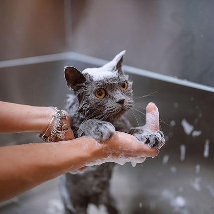 Eye Envy Moisturizing Pet Shampoo. Cleans, softens, adds Shine. Fragrance Free. Detergent Free. Gentle for Everyday use. Glycerin enriched. Safe for Puppies and Kittens. 16oz