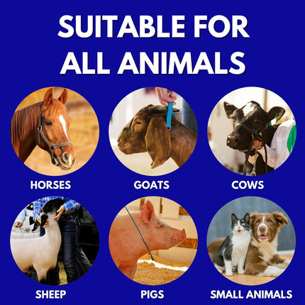 Show Out Skin & Scratches 4 oz Concentrate - Fast Relief and Prevention for Horse Care
