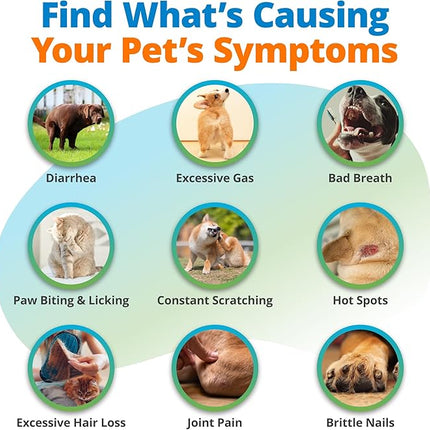 5Strands Pet Food Intolerance, Environmental & Heavy Metal Sensitivity, and Nutritional Imbalance Test, 1036 Items Tested, Cat & Dog Gut Health Test for All Breeds & Ages, Results in 4 Days