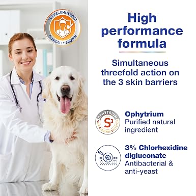 DOUXO S3 PYO Shampoo | Antibacterial & Anti-Yeast Shampoo for Dogs & Cats | Yeast Overgrowth Shampoo for Dogs | Recommended Cat & Dog Disinfecting Shampoo | Chlorhexidine for Dogs | 200ml