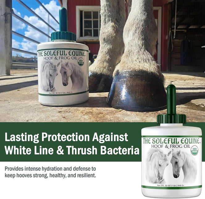 Hoof Oil, Horse Hoof White Line, Thrush, Abscesses, Overall Hoof Strength, Growth, Hoof Conditioning Rehydration