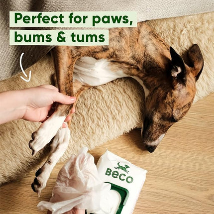 Beco Bamboo Unscented Dog Wipes (Pack of 80)
