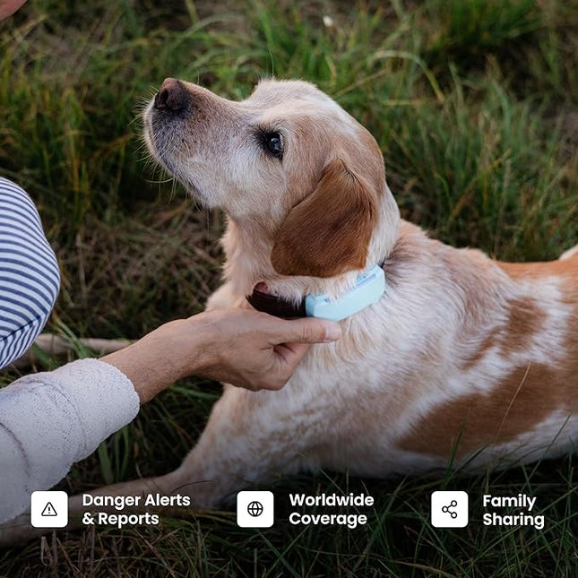Tractive GPS Dog Tracker (2025 Release with Free 6 Month Subscription) |