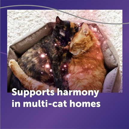 FELIWAY Optimum Cat Calming Pheromone Diffuser Refill - 1 Pack
