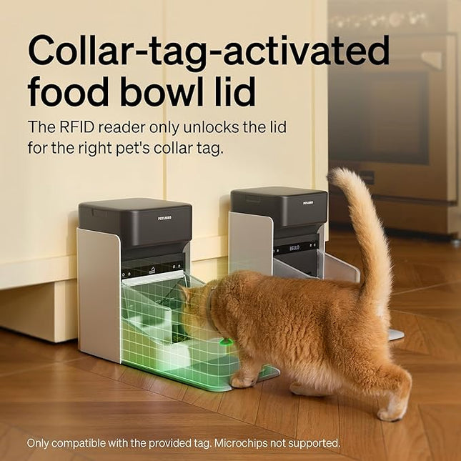 PETLIBRO One RFID Automatic Cat Feeder, Collar-Activated Selective Feeding for Multi-Cat Households, Stops Food Stealing, App Remote Control, Adjustable Lid, 3L White