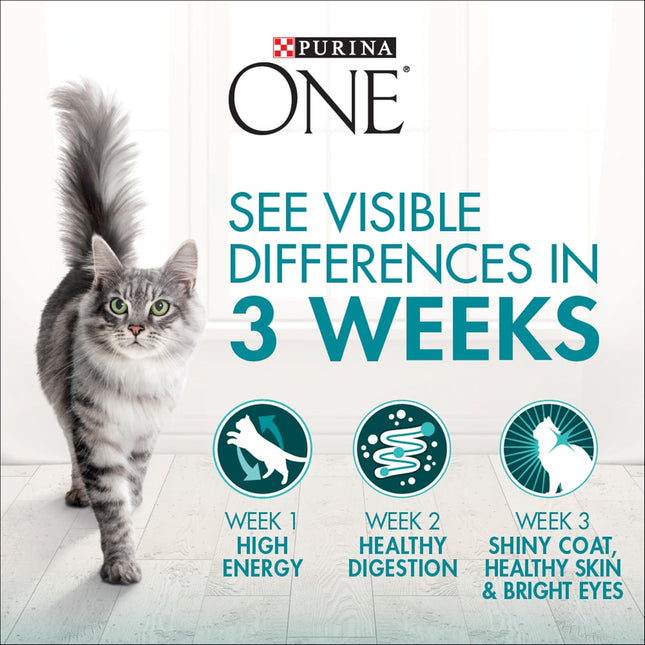 4+ PURINA ONE Kitten Dry Cat Food Immune Defence Plus+ Chicken 1.4kg