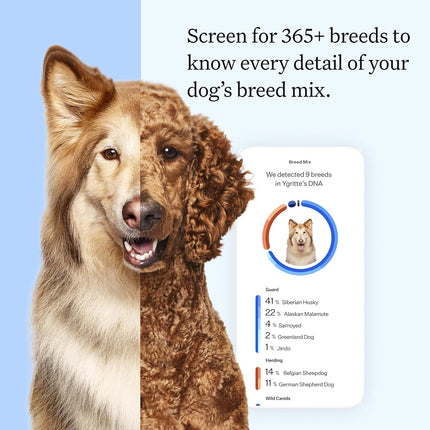 Wisdom Panel Essential Dog DNA Kit: Most Accurate Test for 365+ Breeds, 30 Genetic Health Conditions, 50+ Traits, Relatives, Ancestry