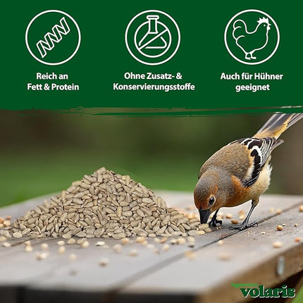 Eggersmann volaris Sunflower Seeds Bird Food 2.5 kg [peeled]