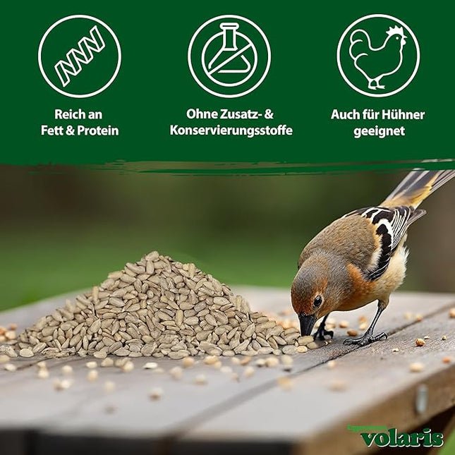 Eggersmann volaris Sunflower Seeds Bird Food 2.5 kg [peeled]