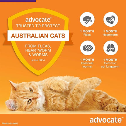 Advocate Cat, Monthly Spot-On Protection from Fleas, Heartworm and Worms, Single Pack Flea Treatment for Cats Over 4 kg, 1 Pack