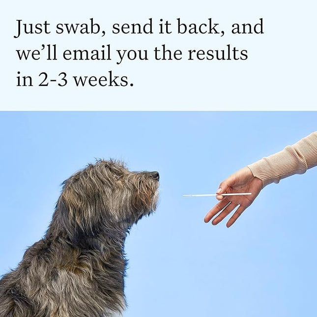 Wisdom Panel Essential Dog DNA Testing Kit - Most Accurate Test for 430+ Dog Breeds, 30 Genetic Health Conditions, 50+ Traits, Relatives, Ancestry, 1 Pack