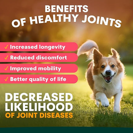 Petz Park Hip + Joint for Dogs 90 Scoops, Glucosamine for Dogs with Chondroitin and MSM, Dog Hip and Joint Supplement