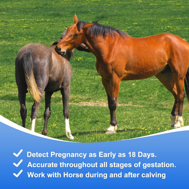 Horse Pregnancy Test - 5 Pack Mares Pregnancy Urine Test Strips
