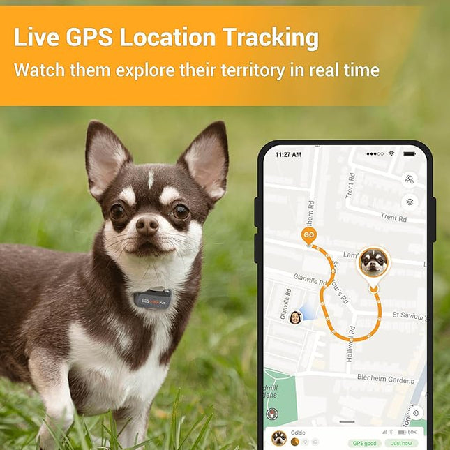 Pawfit Lite for Small Dogs 4g GPS Tracker | Real Time Tracking | Activity Monitoring |Location History