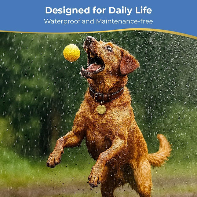 Flea & Tick Tag for Dogs & Cats | Chemical-Free | Waterproof | 12 Months