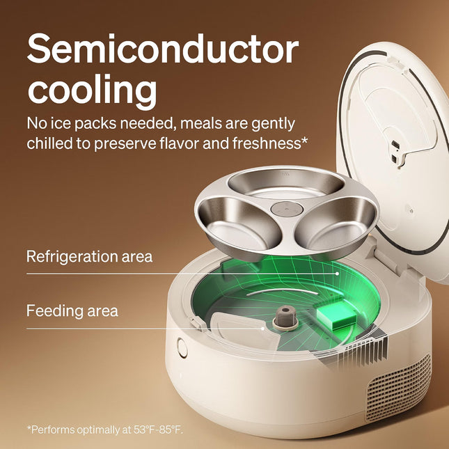 PETLIBRO Automatic Cat Feeder Wet Food with Stainless Steel Bowl