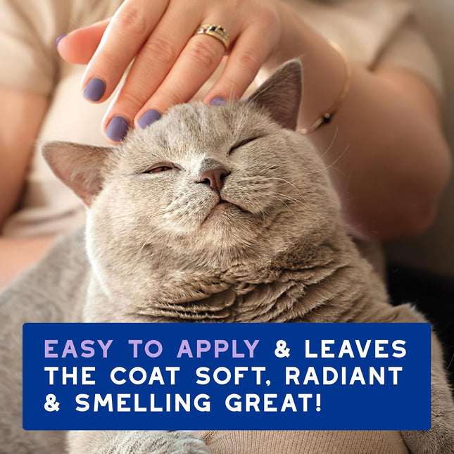 Douxo Spa Leave-on Mousse for Cats, Hypoallergenic, Skin-Friendly, 150 ml