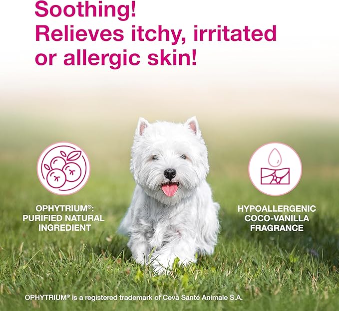 Douxo S3 Calm Shampoo 6.7 oz (200 mL) - for Dogs and Cats with Allergic, Itchy Skin