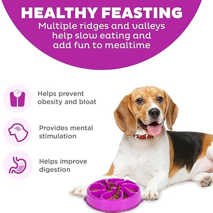 Outward Hound Fun Feeder Slo Bowl, Slow Feeder Dog Bowl, Medium/Mini, Purple