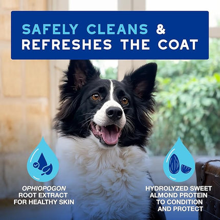 DOUXO® Skin & Coat SPA - Ultra-Safe Quick Refresh Leave-on Mousse for Dogs, 10 fl oz, Safely Cleans and Refreshes