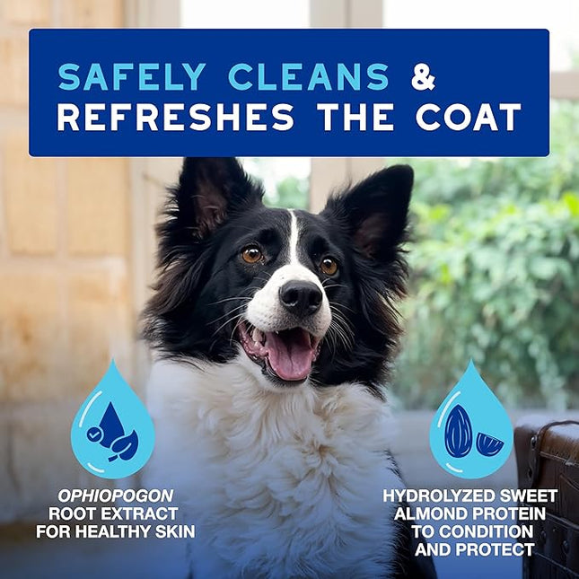 DOUXO® Skin & Coat SPA - Ultra-Safe Quick Refresh Leave-on Mousse for Dogs, 10 fl oz, Safely Cleans and Refreshes