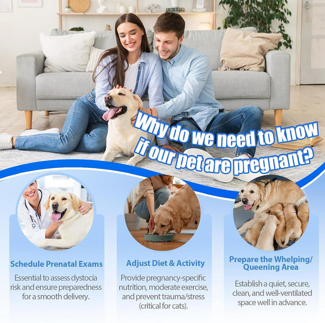 Dog & Cat Urine Pregnancy Test Kit at Home, 5-Minute Fast & Accurate Results up to 99%