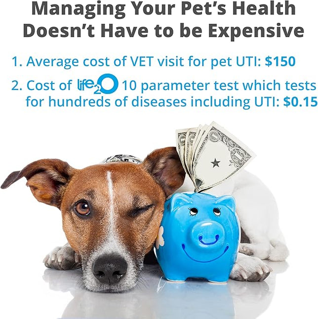 life2O 10-Parameter Cat & Dog Urine Test Strips 60ct, Cat & Dog UTI Test Kit, Diabetes Testing for Diabetic Pets, Urinalysis Reagent Strips: Glucose, Specific Gravity, pH, Ketone, Protein & More.