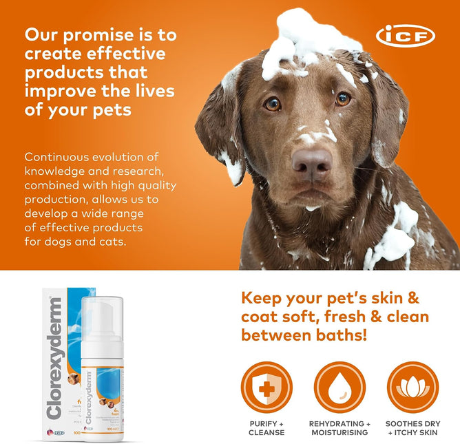 CLX 4% Chlorhexidine Dog & Cat Foam, No-Rinse Cleansing Mousse, 100 ml