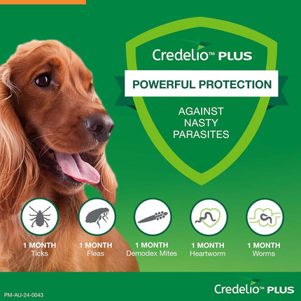 CREDELIO PLUS MED ORANGE 6'S