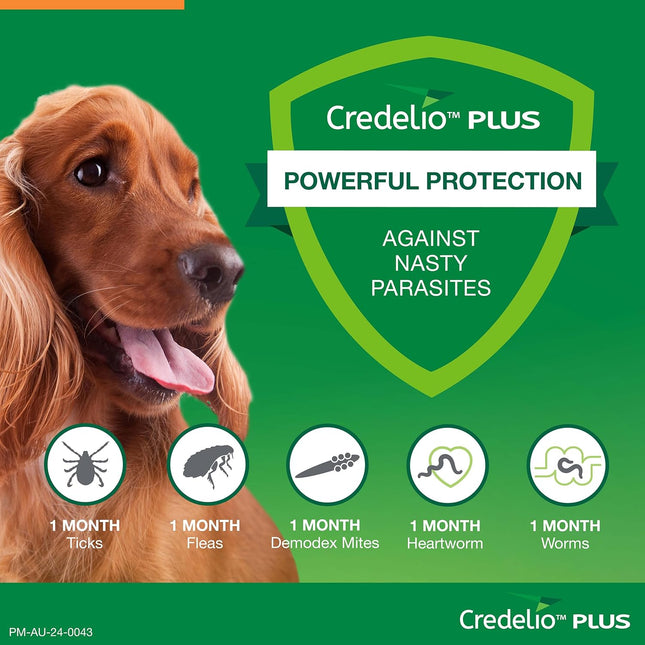 CREDELIO PLUS MED ORANGE 6'S