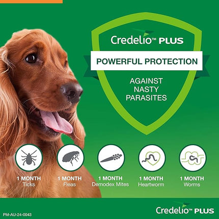 Credelio Plus Dog Flea and Tick Treatment, Single Pack, Ticks, Fleas, Mites, Heartworm & Worms Parasite Protection, in The Smallest Monthly Chewable Tablet for Dogs > 5.5-11 kg, 1 Pack