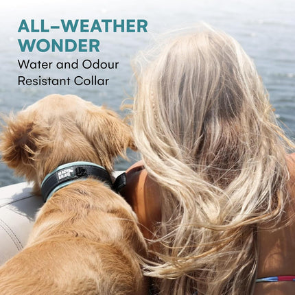 Black Rhino The Comfort Dog Collar