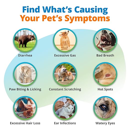 5Strands Pet Food Intolerance & Environmental Sensitivity Test, at Home Gut Health Test for Dogs & Cats, 1100+ Items Tested, Pet Health Check, Results in 4 Days, For All Ages and Breeds