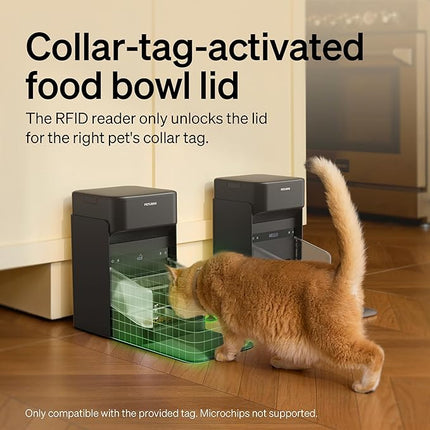 PETLIBRO One RFID Automatic Cat Feeder, Collar-Activated Selective Feeding for Multi-Cat Households, Stops Food Stealing, App Remote Control, Adjustable Lid, 3L Black, Includes AU Adapter & Tag