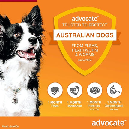 Advocate Dog, Monthly Spot-On Protection from Fleas, Heartworm and Worms, Single Pack Flea Treatment for Large Dogs 10-25 kg, 1 Pack