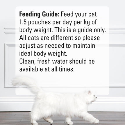 2+ FANCY FEAST Adult Petite Delights Salmon Tuna & Chicken Grilled Wet Cat Food 18 x 50g