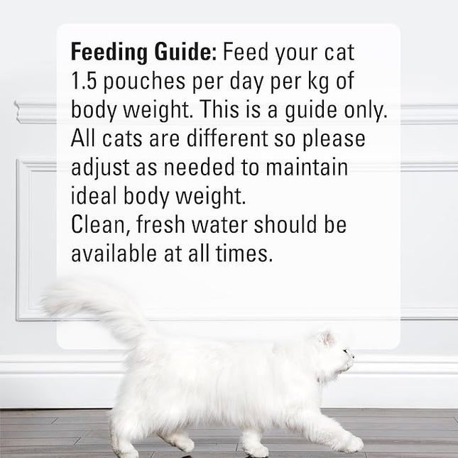 FANCY FEAST Adult Petite Delights Salmon & Chicken Grilled Wet Cat Food 12 x 50g