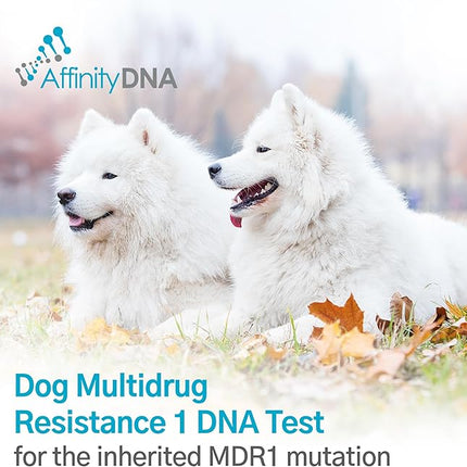 Dog Multidrug Resistance 1 (MDR1) DNA Test Kit | Home Sample Collection Kit for 1 Canine | Puppy MDR1 Testing Kits | Results in 7 Working Days | A Complete Kit with No Extra Fees