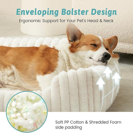 COZY KISS Orthopedic Dog Bed for Small Dogs & Medium Dogs (Cream, 76x58x18 cm)