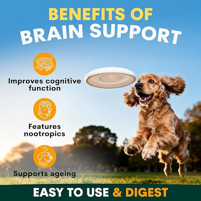 Petz Park Brain Support for Dogs 45 Scoops, Dog Supplements Made in Australia, Senior Dog Brain Support Supplement, Cognitive Support Powder