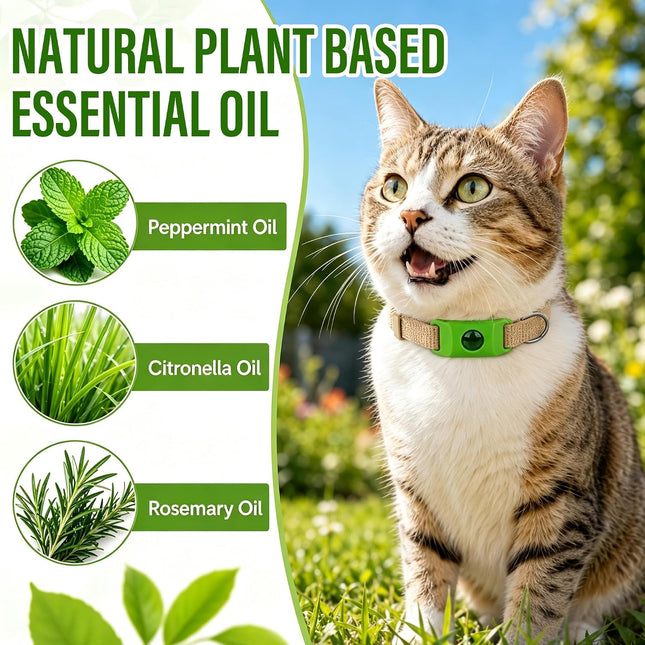 Natural Cat Tag for Flea & Tick Prevention, 1Pcs with 3Refill,Green