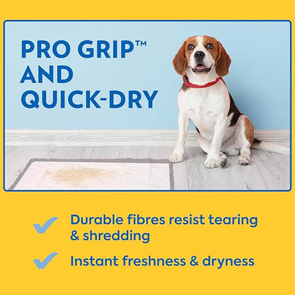 Out 72473-4P Heavy Duty XXL Dog Pads | Absorbent Pet Training and Puppy Pads | 30 Pads