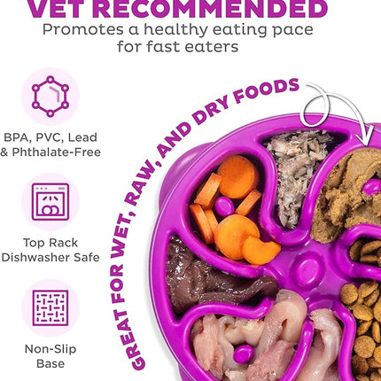 Outward Hound Fun Feeder Slo Bowl, Slow Feeder Dog Bowl, Medium/Mini, Purple