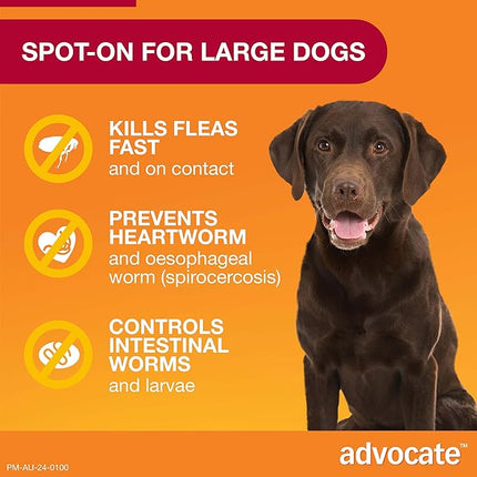 Advocate Dog, Monthly Spot-On Protection from Fleas, Heartworm and Worms, Single Pack Flea Treatment for Large Dogs 10-25 kg, 1 Pack
