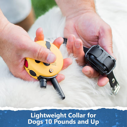 Educator ET-302 Mini E Collar for Dog Training with Remote - 1/2 Mile Range, Waterproof-2Dogs,All Sizes